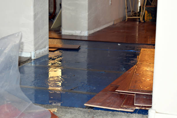 Professional Water Damage technician working in Meridian, TX