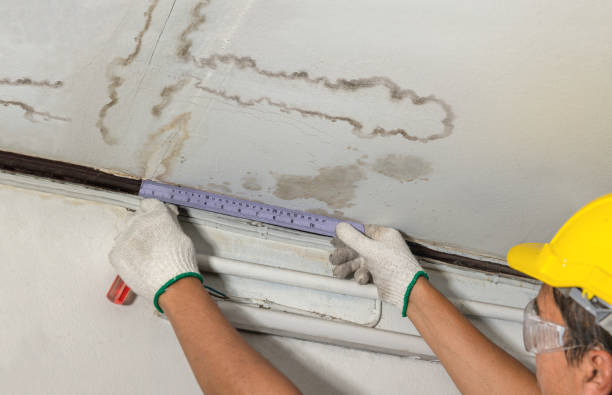 Reliable Water Damage contractor in Meridian, TX by Water Damage Irwin